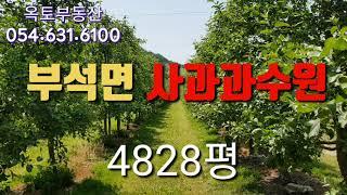 [영주토지매매025] 영주시 부석면 사과과수원 4828평 | 영주옥토부동산