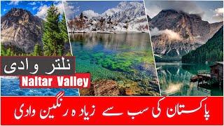 Naltar Valley | Most colorful valley Of Pakistan | نلتر وادی | Travel Guide | Lakes and Hotels