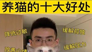 养猫的十大好处