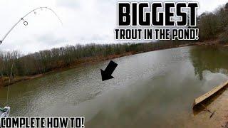 How To CATCH TROUT in Lakes and Ponds! (GIANT RAINBOW TROUT)