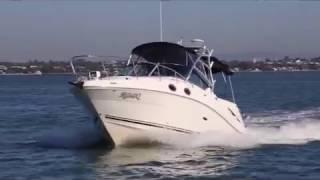 Searay 275 Amberjack