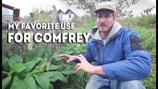 Using COMFREY to Stop WEEDS Growing Into Your Garden