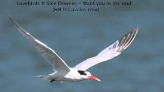 Lovebirds ft Stee Downes -  Want you in my soul (HH D. Gavalas rmx)