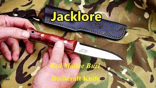 Red Mallee Burl Bushcraft Knife