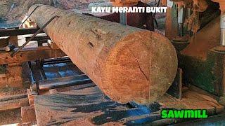 Meranti hill sawmill process in Kalimantan