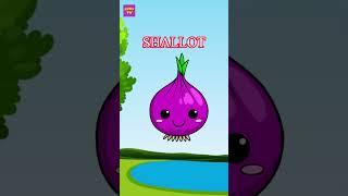 VEGETABLES | HOC CÙNG RUBY TV #rubytv #hoctienganh #raucu