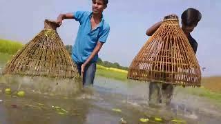 Village Ponds In Amazing Fish Catching | Amazing Polo Fishing | Mr Fun Box 28