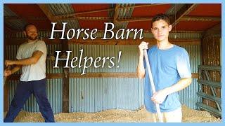 Old Shed Converted to Horse Barn: Raising The Floor