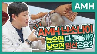 AMH 난소나이검사 의미, 수치가 낮으면 임신이 어려울까?