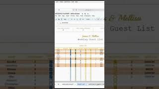how to plan a wedding in 2024 #wedding #weddingplanner #weddinginspiration #googlesheets