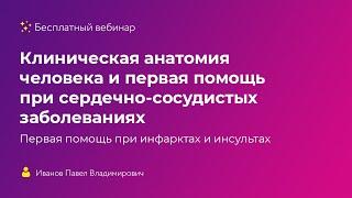 Клиническая анатомия человека и первая помощь при сердечно-сосудистых заболеваниях