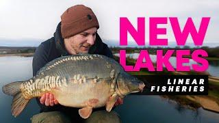 New CARP FISHING LAKES at LINEAR FISHERIES | Tar Farm Lakes | Mainline Baits Carp Fishing TV