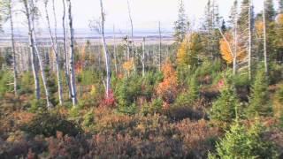 Woods N Water TV Hat Trick Moose Hunting at Moosehead Lodge