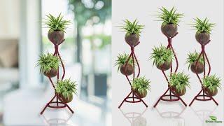 Transform Your Space! Unique Indoor Table Money Plant Decoration Ideas & Growing Tips//GREEN PLANTS