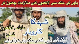 Honey Bee Farming || Business Ideas || Honey Frame In Village Pakistan || Jamshed Zafar