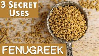 3 Secret Uses of Fenugreek Benefits for Women and Men