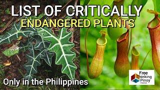 12 ENDANGERED PLANTS FOUND ONLY IN THE PHILIPPINES | Kakaiba at bihirang halaman sa Pilipinas