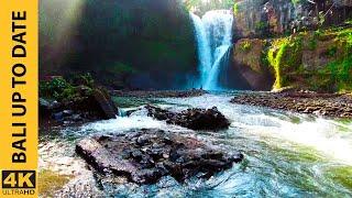 [4K] Amazing Tour in Tegenungan Waterfall Bali, Indonesia