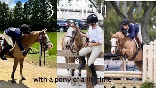 3 years with a pony of a lifetime | Thank you will never be enough! ~ Claire.Equus |#horse #jumping