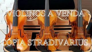 Violino a venda. Cópia Stradivarius. Gimenez Luthieria