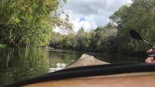 Kayak Tour Silver River, Silver Springs State Park Florida