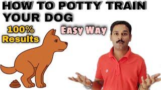 How To Potty Train Your Dog 100% Results.