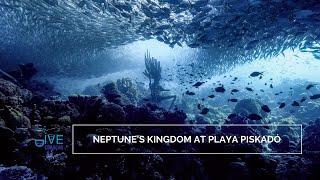 Diving the King Neptune Sculpture at Playa Piskado in Westpunt Curacao | Dive Travel Curacao