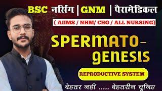 spermetogenesis :the reproductive system /sb nursing classes/ ANATOMY AND PHYSIOLOGY /GIONAPS