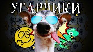 Угарчики Выпуск 2