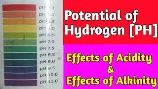 pH Value || Potential of Hydrogen pH || Acidity Vs Alkinity in Hindi