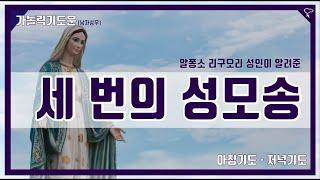 [가톨릭 기도문] 세 번의 성모송 : 아침기도, 저녁기도 합본 (남자성우)