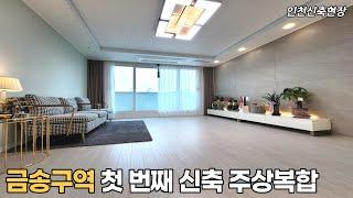 송림동 금송구역 5700세대 바로 옆 주상복합 실평수 30평 아파트 대박위치