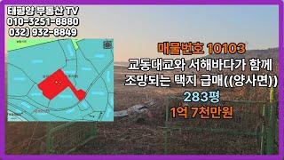 교동대교와 서해바다가 함께 조망되는 택지 급매((양사면))