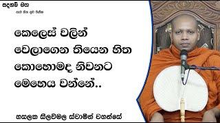 කෙලෙස් වලින් වෙලාගෙන තියෙන හිත කොහොමද නිවනට මෙහෙය වන්නේ..254Ven Hasalaka Seelawimala Thero