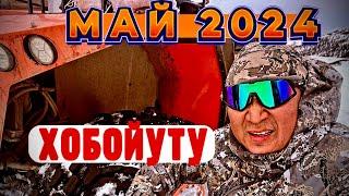 Хобойуту. Май 2024г .