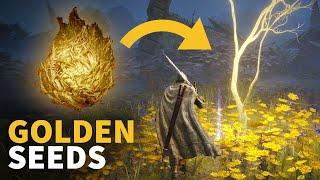 Elden Ring Golden Seeds Guide: Where to Find 25