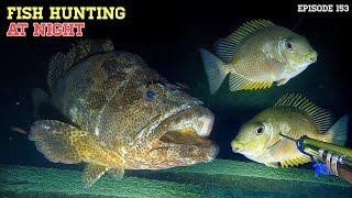 NIGHT SPEARFISHING EPISODE 153 | FISH HUNTING AT NIGHT