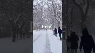 Trip to Ifrane Morocco switzerland of Morocco The Moroccan Trips - #TheMoroccanTrips