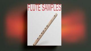 (FREE) DOWNLOAD FLUTE LOOP KIT / ROYALTY FREE SAMPLE PACK - "VOL.24" [Melody Loops]