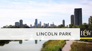 Chicago Neighborhoods - Lincoln Park