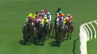 2024 WATC ASCOT Railway Stakes UPDATE 2