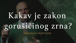 Kakav je zakon gorušičinog zrna? | 11. nedjelja kroz godinu