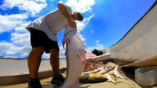 PESCA y COCINA en CASA EMBRUJADA, Pescando con redes, y caña de pesca, 24hs pescando, pesca urbana