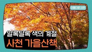 알록달록 색의 계절, 사천 가을산책