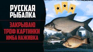 Новый Путь в РР4 #3  Поймал Много Трофеев | Проверил Леща На Комаре | Прокачал Снасти и Наживку