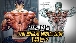 과학적으로 밝혀진 최고의 등 넓히는 운동!?(턱걸이 VS 랫풀다운)