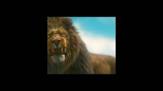 The Shepherd and the Lion Action Scene  | HOUSE OF DAVID #houseofdavid #primevideo