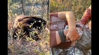 Two hunters who shot 530-pound grizzly 24 times share their stunning story of survival