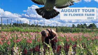 August Tour in Flower Farm 2023