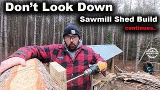 Sawmill Shed Build - Working at Heights Isn't My Cup of Tea (Episode 15)